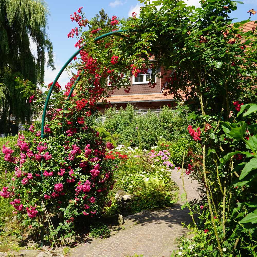 Artikelbild 3 des Artikels “Bogenkonstruktion über DecoGard Konfigurator “